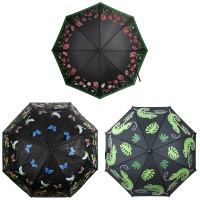Regenschirm Farbwechsel